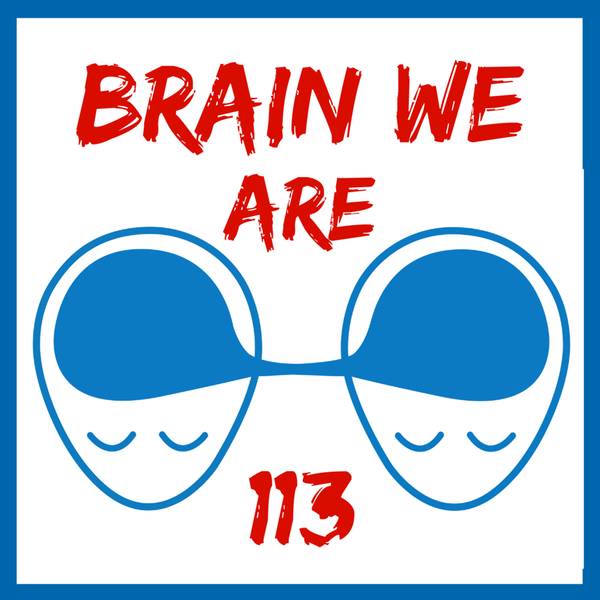 Brain We Are CZ